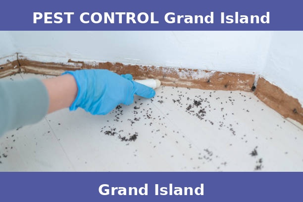PEST CONTROL Grand Island